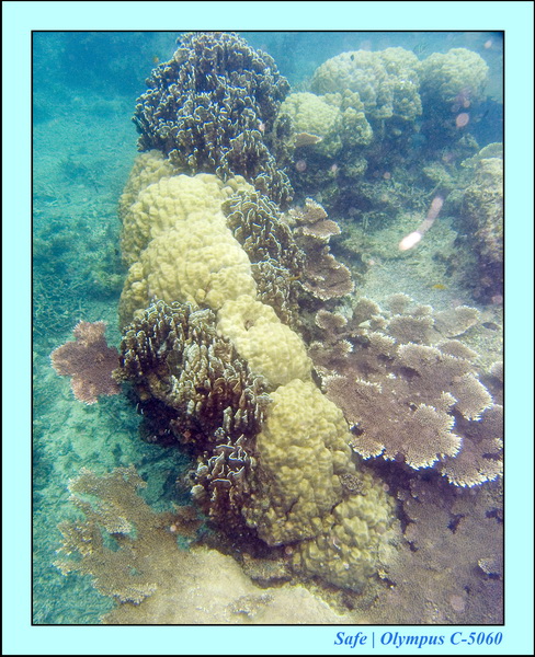 2008 - 07 - Perhentian - 043